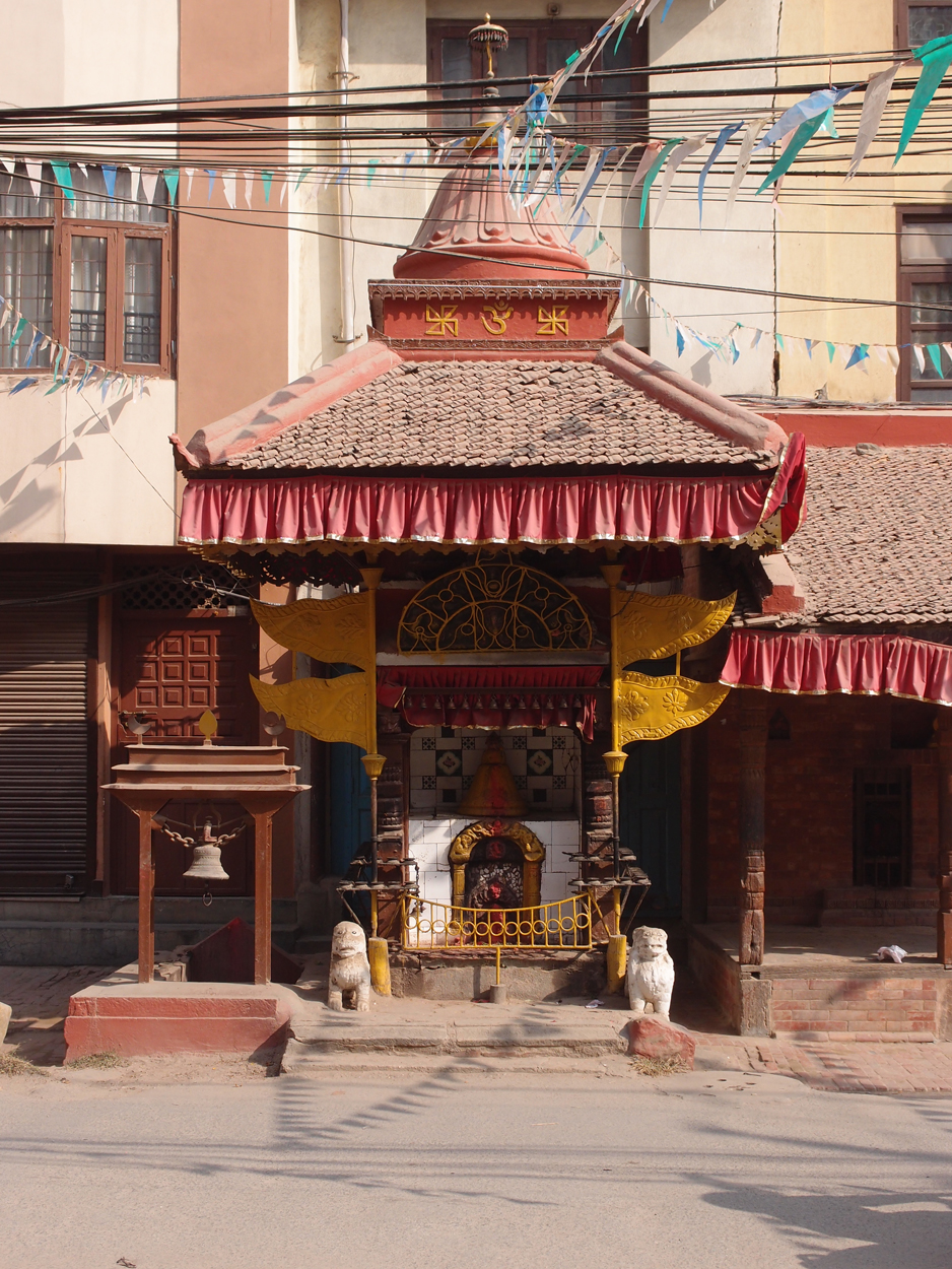 2018-01-19 11 Uhr - Patan (Foto, Video) 